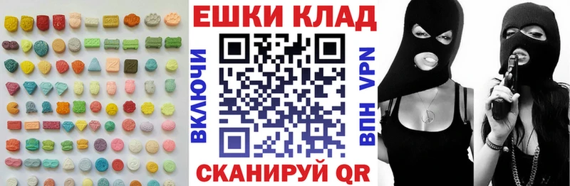 дарнет шоп Владимир ЭКСТАЗИ бентли
