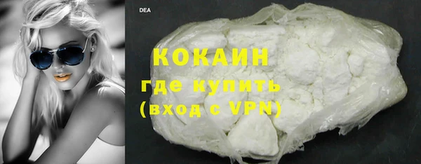 прущие грибы Чердынь