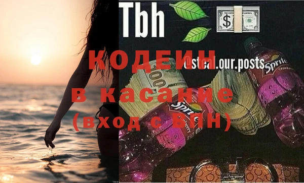 твердый Чегем
