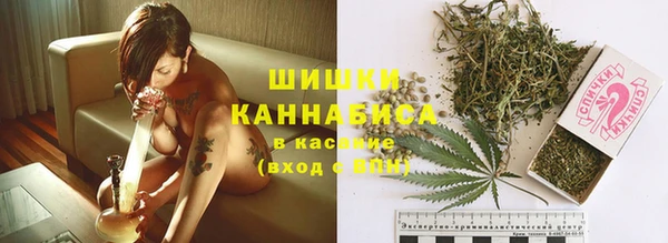 прущие грибы Чердынь