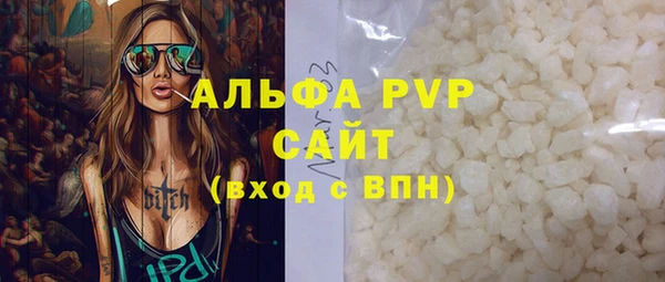 твердый Чегем