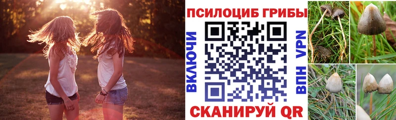 Псилоцибиновые грибы мицелий  Владимир 