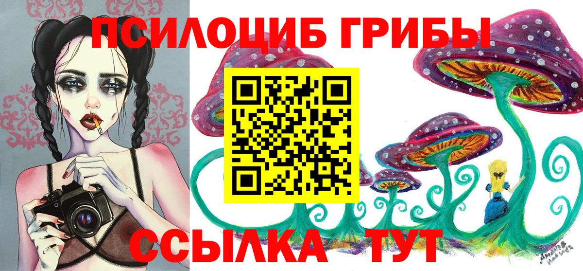 Псилоцибиновые грибы прущие грибы Владимир