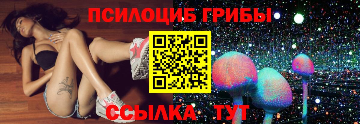 Псилоцибиновые грибы ЛСД  Владимир 