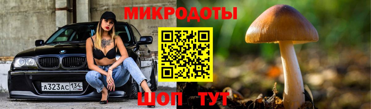 Псилоцибиновые грибы Psilocybe  Вход с VPN  купить   Владимир 