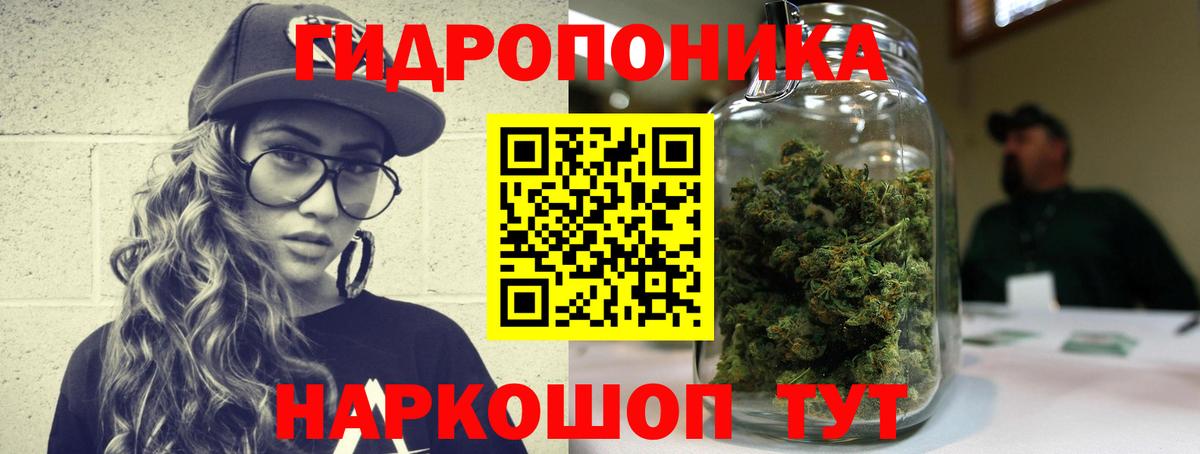 Бошки Шишки сатива Владимир